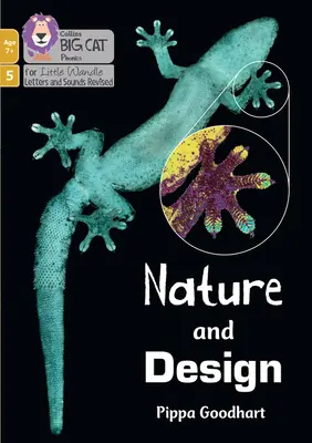 Natură și design - Faza 5 Set 5 - Nature and Design - Phase 5 Set 5
