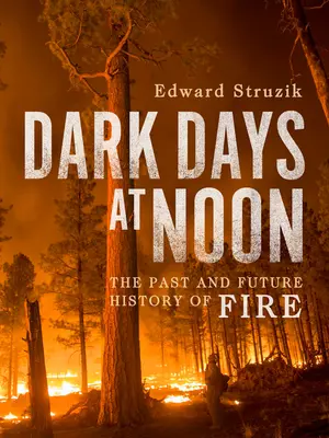 Dark Days at Noon: Viitorul focului - Dark Days at Noon: The Future of Fire