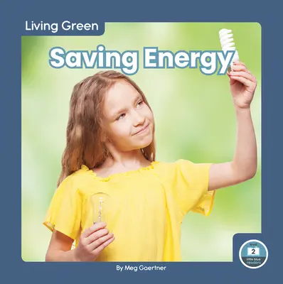 Economisirea energiei - Saving Energy