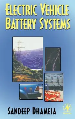 Sisteme de baterii pentru vehicule electrice - Electric Vehicle Battery Systems
