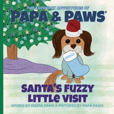 Mica vizită pufoasă a lui Moș Crăciun - Santa's Fuzzy Little Visit