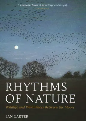 Ritmurile naturii: Viață sălbatică și locuri sălbatice între mlaștini - Rhythms of Nature: Wildlife and Wild Places Between the Moors