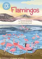 Campion de lectură: Flamingo - Lectură independentă Non-Fiction Blue 4 - Reading Champion: Flamingos - Independent Reading Non-Fiction Blue 4