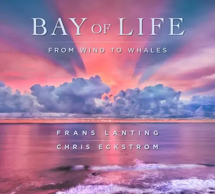 Golful vieții: De la vânt la balene - Bay of Life: From Wind to Whales