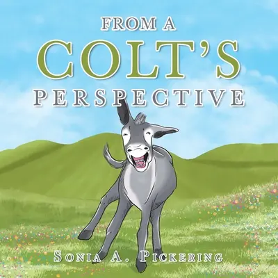 Din perspectiva unui Colt - From a Colt's Perspective