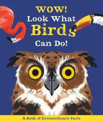 Uau! Uite ce pot face păsările - Wow! Look What Birds Can Do