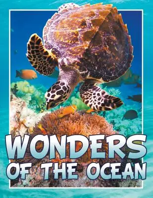 Minunile oceanului - Wonders of the Ocean