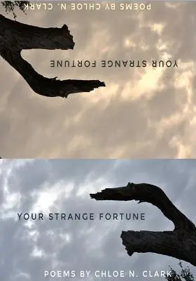 Norocul tău ciudat - Your Strange Fortune
