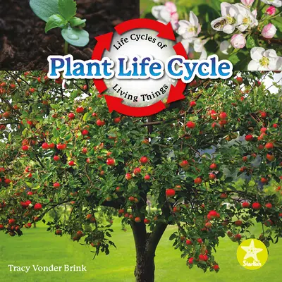 Ciclul de viață al plantelor - Plant Life Cycle