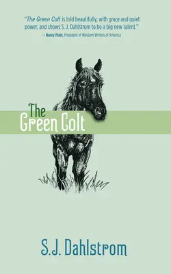 Coltul verde: Aventurile lui Wilder Good #4 - The Green Colt: The Adventures of Wilder Good #4