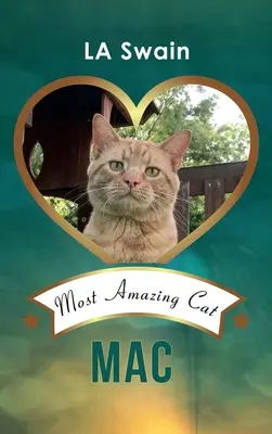 Mac: Cea mai uimitoare pisică - Mac: Most Amazing Cat
