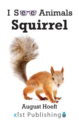 Veveriță - Squirrel