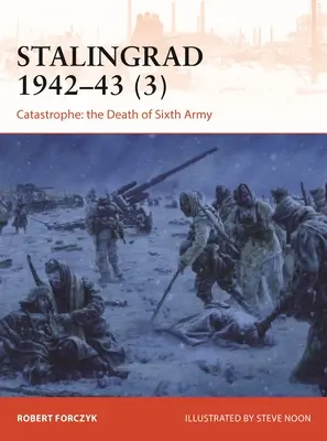 Stalingrad 1942-43 (3): Catastrofa: Moartea Armatei a 6-a - Stalingrad 1942-43 (3): Catastrophe: The Death of 6th Army