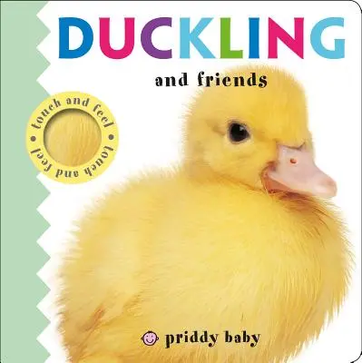 Rățușca și prietenii - Duckling and Friends