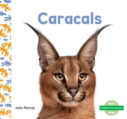 Caracali - Caracals