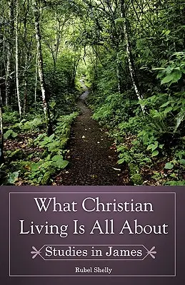 Despre ce este vorba în viața creștină - What Christian Living Is All About