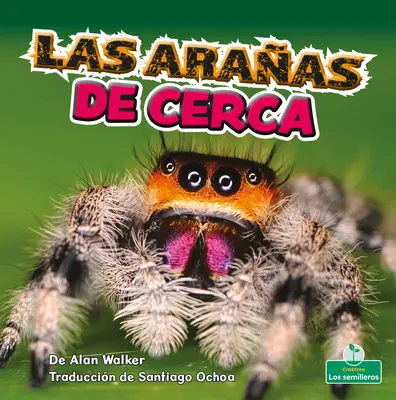 Las Araas de Cerca (Păianjenii de aproape) - Las Araas de Cerca (Spiders Up Close)