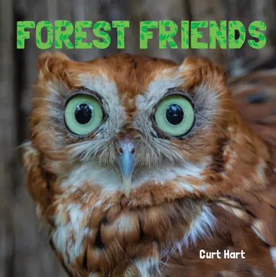 Prietenii pădurii - Forest Friends