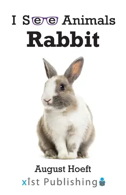 Iepure - Rabbit