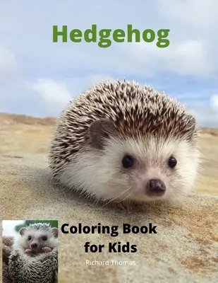 Hedgehog Carte de colorat pentru copii: Carte de activități pentru copii pentru băieți și fete cu vârste cuprinse între 3 și 8 ani cu ariciul super drăguț Un cadou super cool pentru băieți și fete de vârste - Hedgehog Coloring Book for Kids: Children Activity Book for Boys and Girls Ages 3-8 with Super Cute Hedgehog A Super Cool Gift for Boys and Girls Ages