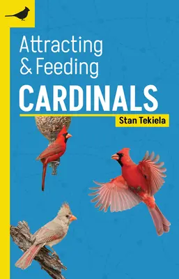Atragerea și hrănirea cardinalilor - Attracting & Feeding Cardinals
