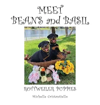Faceți cunoștință cu fasolea și busuiocul - Meet Beans and Basil