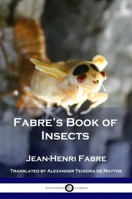 Cartea lui Fabre despre insecte - Fabre's Book of Insects