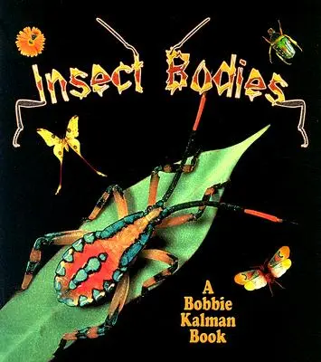 Corpurile insectelor - Insect Bodies