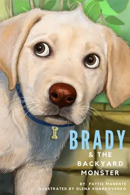 Brady și monstrul din curtea din spate - Brady and the Backyard Monster