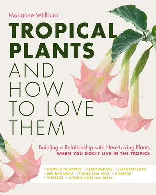 Plantele tropicale și cum să le iubești: Construirea unei relații cu plantele iubitoare de căldură atunci când nu locuiești la tropice - Trompetele îngerului - Lemongra - Tropical Plants and How to Love Them: Building a Relationship with Heat-Loving Plants When You Don't Live in the Tropics - Angel's Trumpets - Lemongra