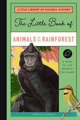 The Little Book of Animals of the Rainforest (Mica carte a animalelor din pădurile tropicale): Un ghid al vieții în cel mai divers ecosistem al Pământului - The Little Book of Animals of the Rainforest: A Guide to Life in Earth's Most Diverse Ecosystem