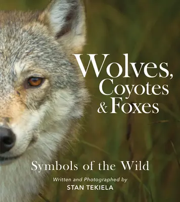 Wolves, Coyotes & Foxes: Simboluri ale sălbăticiei - Wolves, Coyotes & Foxes: Symbols of the Wild