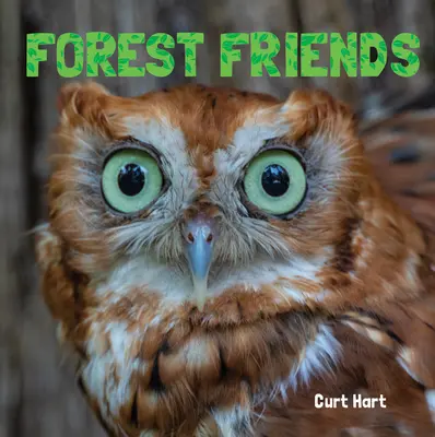 Prietenii pădurii - Forest Friends