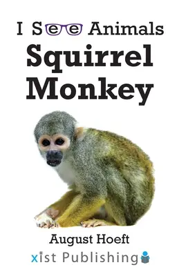 Maimuță veveriță - Squirrel Monkey
