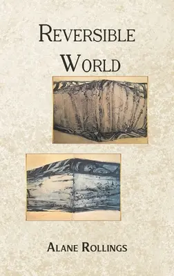 Lumea Reversibilă - Reversible World