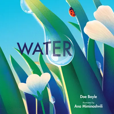 Apa - Water
