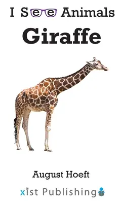 Girafă - Giraffe