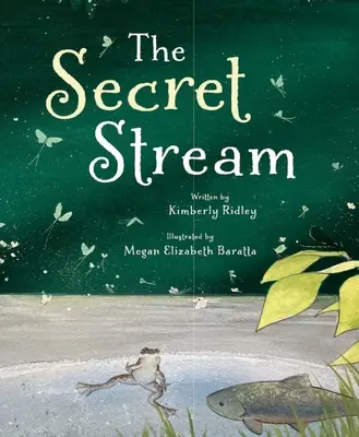 Pârâul secret - The Secret Stream