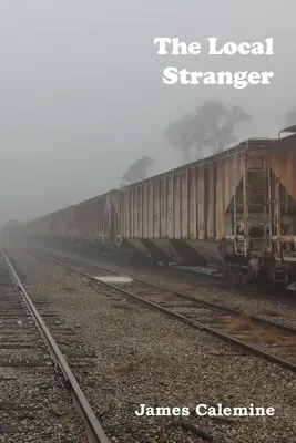 Străinul local: Short Stories - The Local Stranger: Short Stories