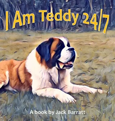 Eu sunt Teddy 24/7 - I Am Teddy 24/7
