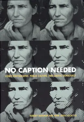 Nu este nevoie de legendă: Fotografii iconice, cultură publică și democrație liberală - No Caption Needed: Iconic Photographs, Public Culture, and Liberal Democracy