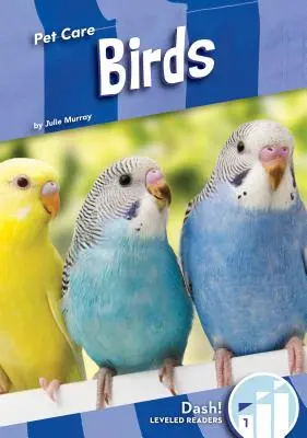 Păsări - Birds