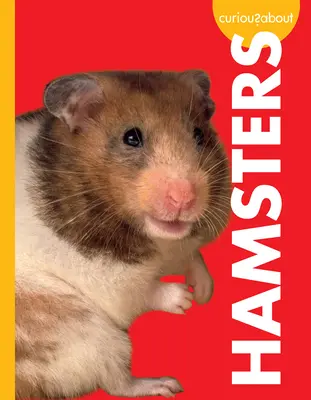 Curioși despre hamsteri - Curious about Hamsters