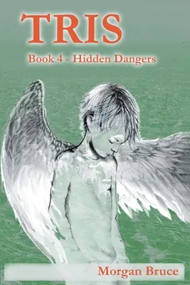 Tris 4: Pericole ascunse - Tris 4: Hidden Dangers