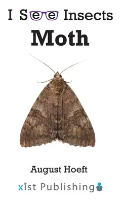 Molie - Moth