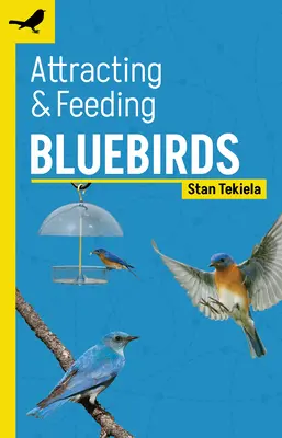 Atragerea și hrănirea Bluebirds - Attracting & Feeding Bluebirds