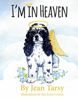 Sunt în Rai - I'm in Heaven