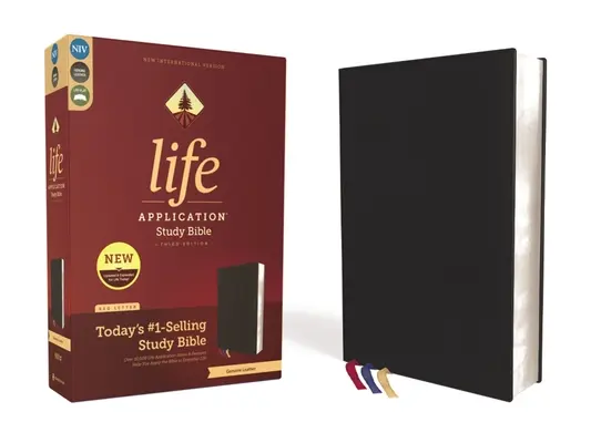 Niv, Biblia de studiu Life Application, ediția a treia, piele naturală, piele de vacă, negru, margini aurite, litere roșii - Niv, Life Application Study Bible, Third Edition, Genuine Leather, Cowhide, Black, Art Gilded Edges, Red Letter