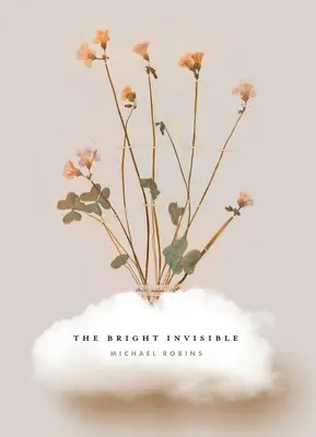 Invizibilul luminos - The Bright Invisible