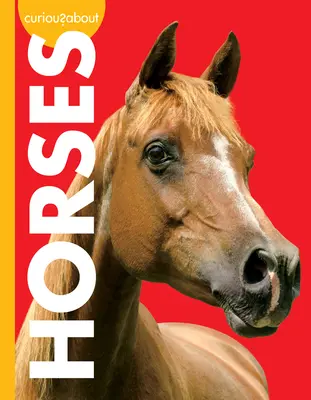 Curiozități despre cai - Curious about Horses
